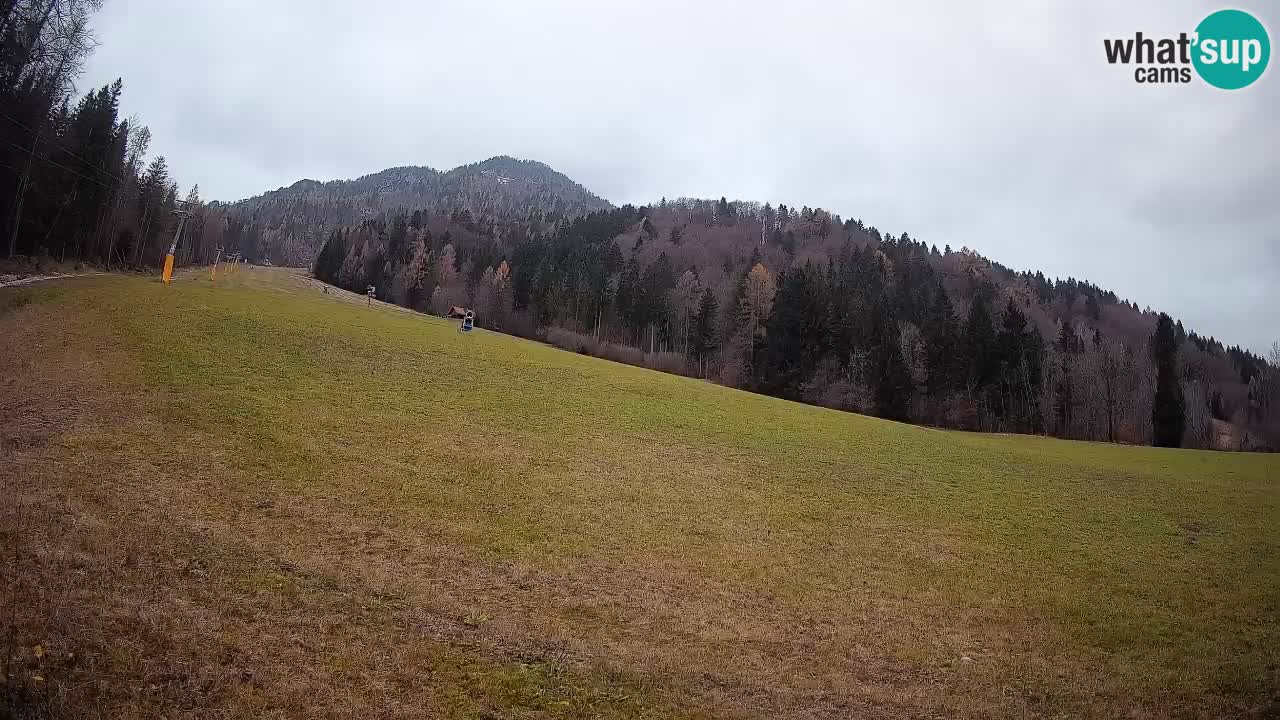 Kranjska Gora SKIJANJE | Brsnina