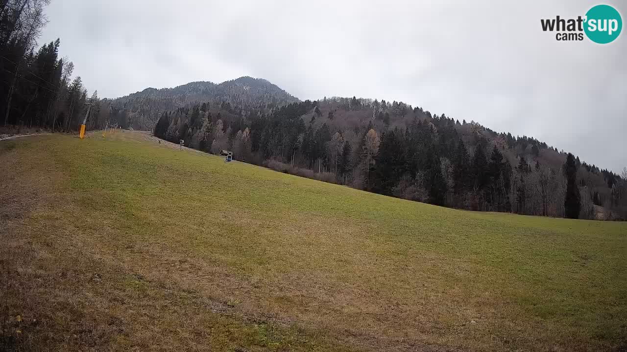 Kranjska Gora SKIJANJE | Brsnina