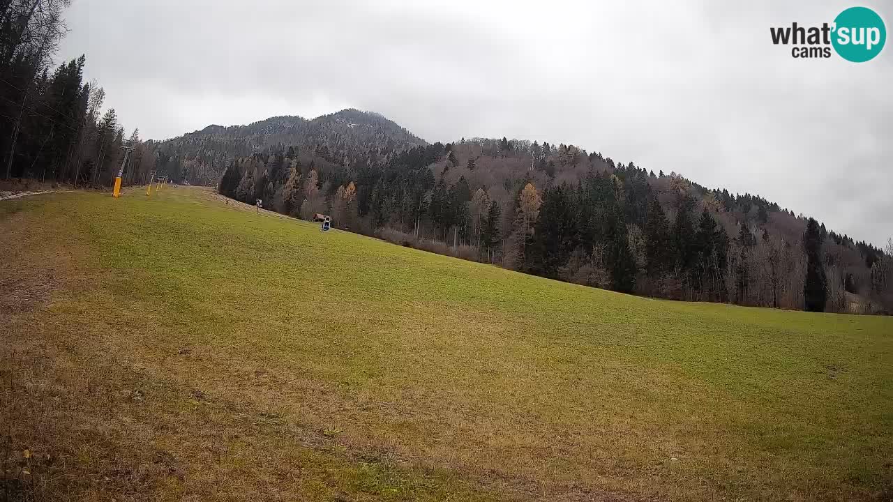 Comprensorio sciistico Kranjska Gora | Brsnina