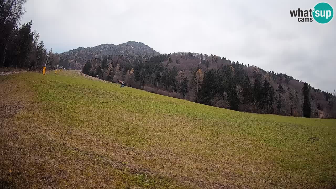 Kranjska Gora SKIJANJE | Brsnina