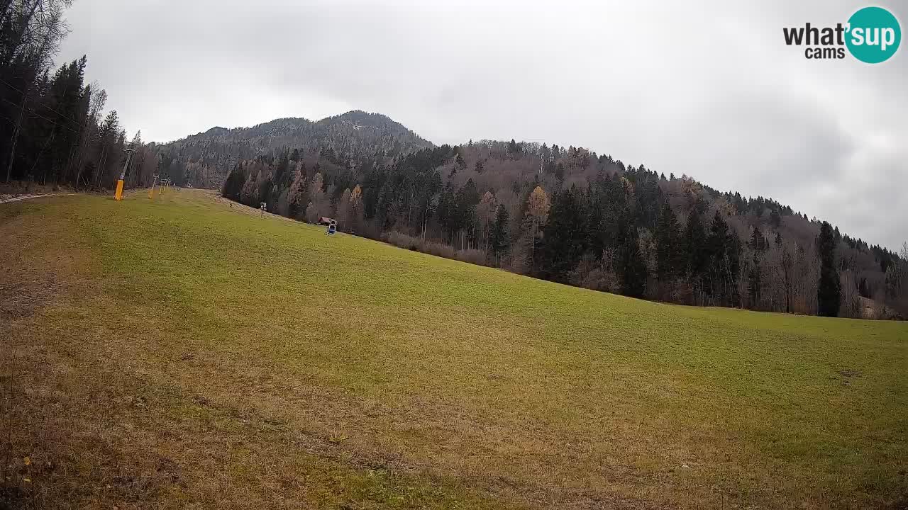 Ski Kranjska Gora | Brsnina