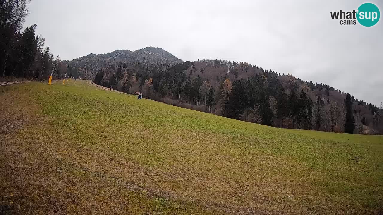 Ski Kranjska Gora | Brsnina