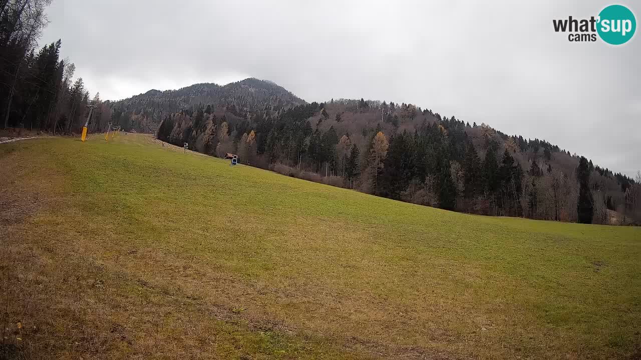 Ski Kranjska Gora | Brsnina