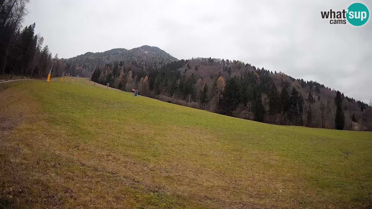 Ski Kranjska Gora | Brsnina