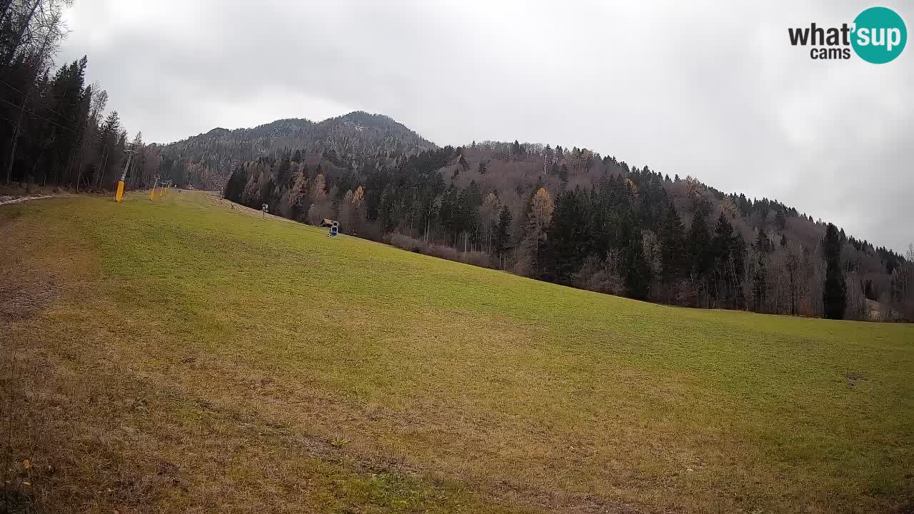 RTC Kranjska Gora | Brsnina