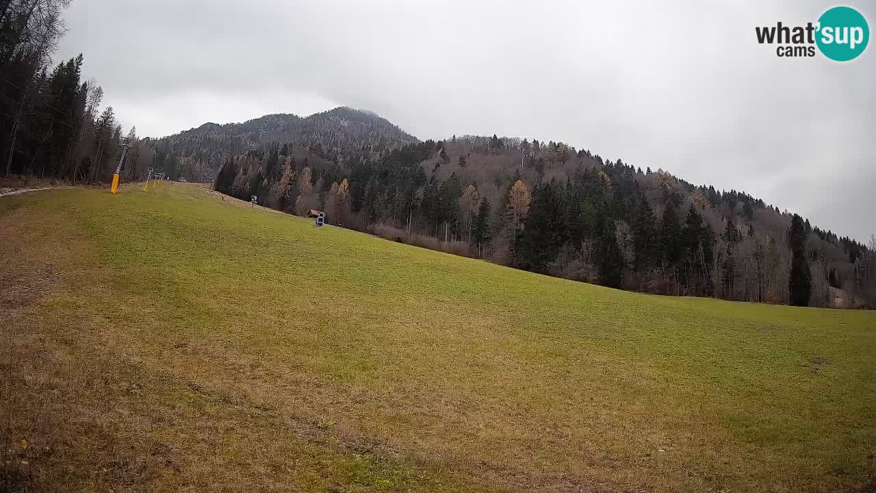 Kranjska Gora SKIJANJE | Brsnina