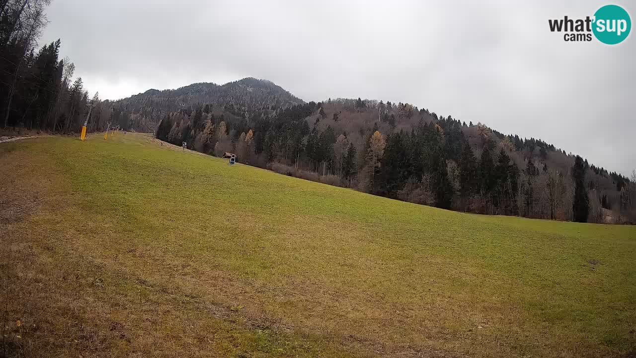 RTC Kranjska Gora | Brsnina