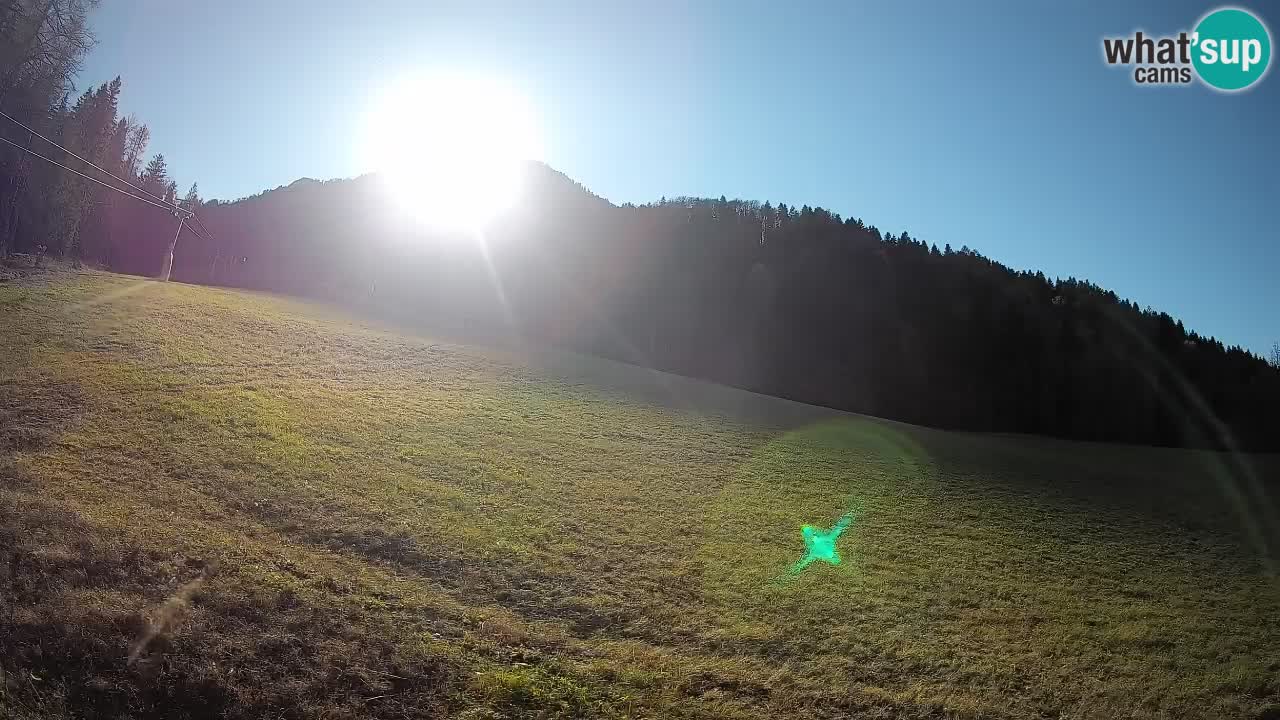 RTC Kranjska Gora | Brsnina