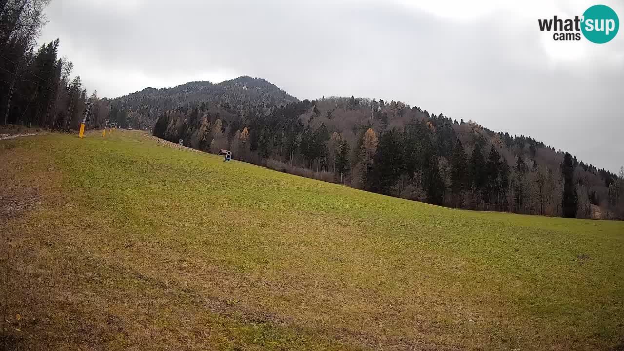Kranjska Gora SKIJANJE | Brsnina