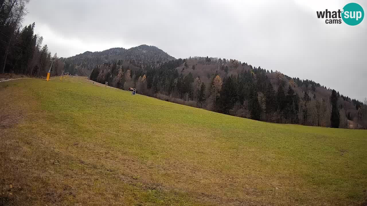 Kranjska Gora SKIJANJE | Brsnina