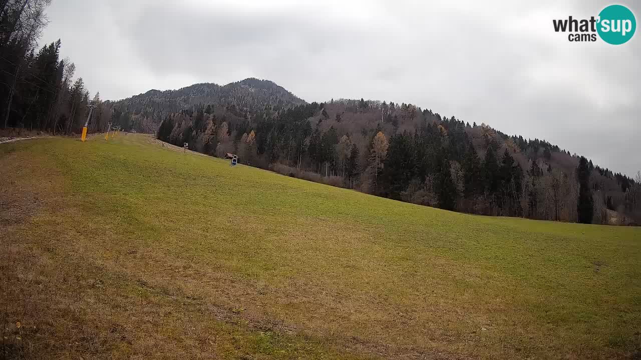 Kranjska Gora SKIJANJE | Brsnina