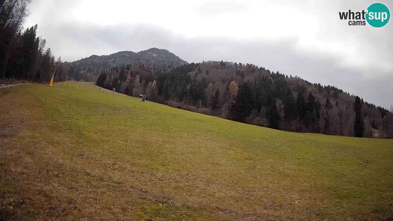 Comprensorio sciistico Kranjska Gora | Brsnina