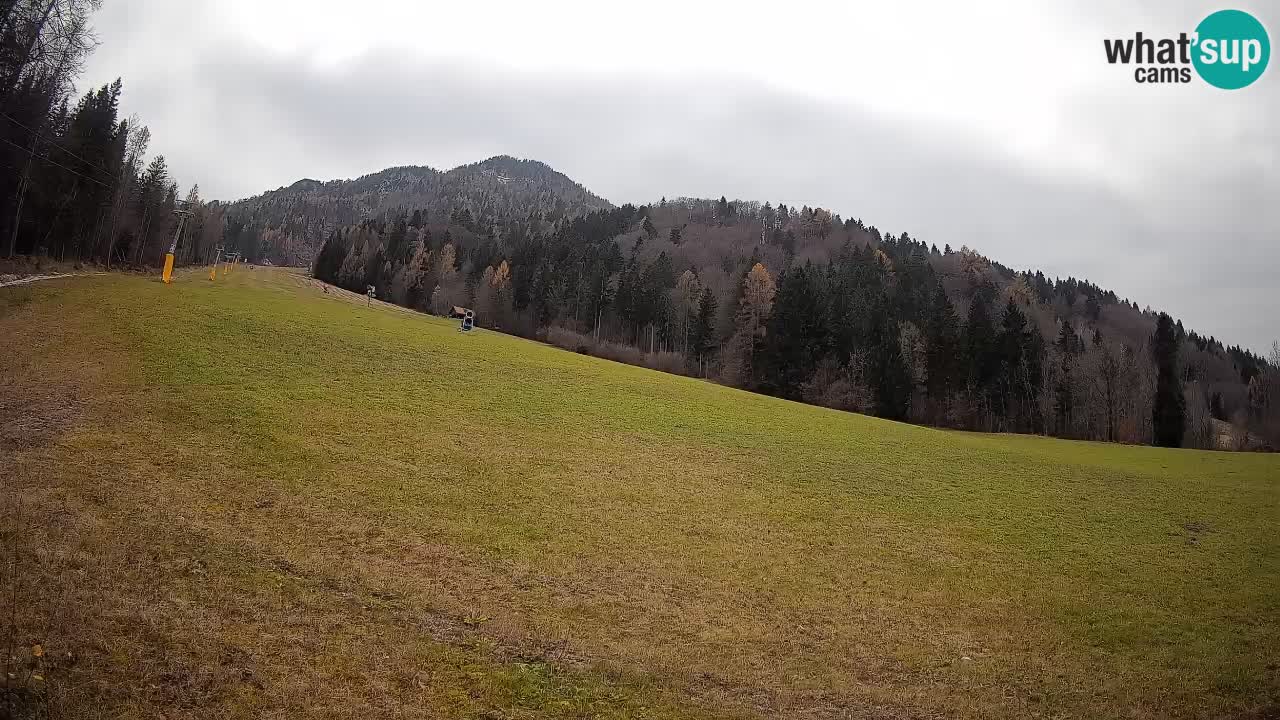 Esquí Kranjska Gora | Brsnina