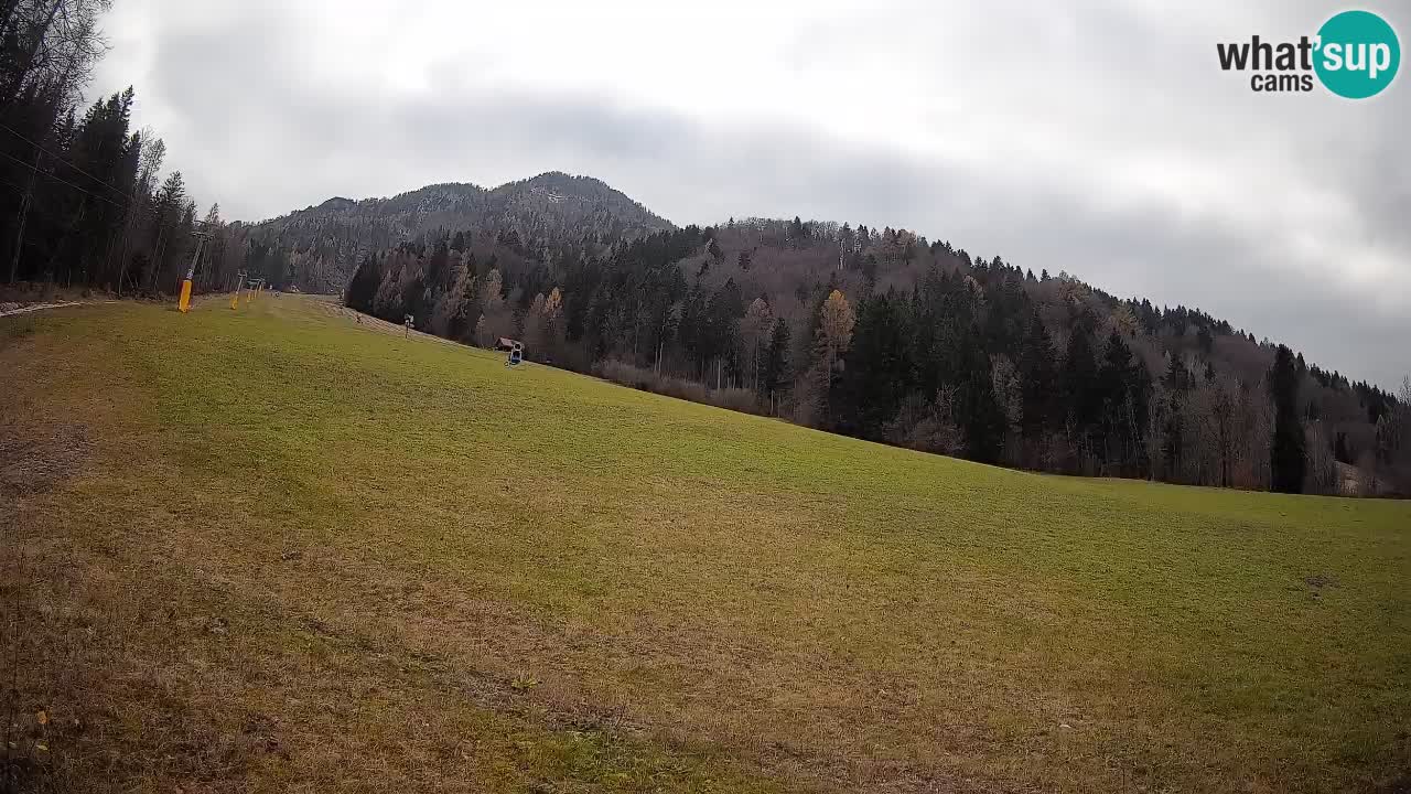RTC Kranjska Gora | Brsnina