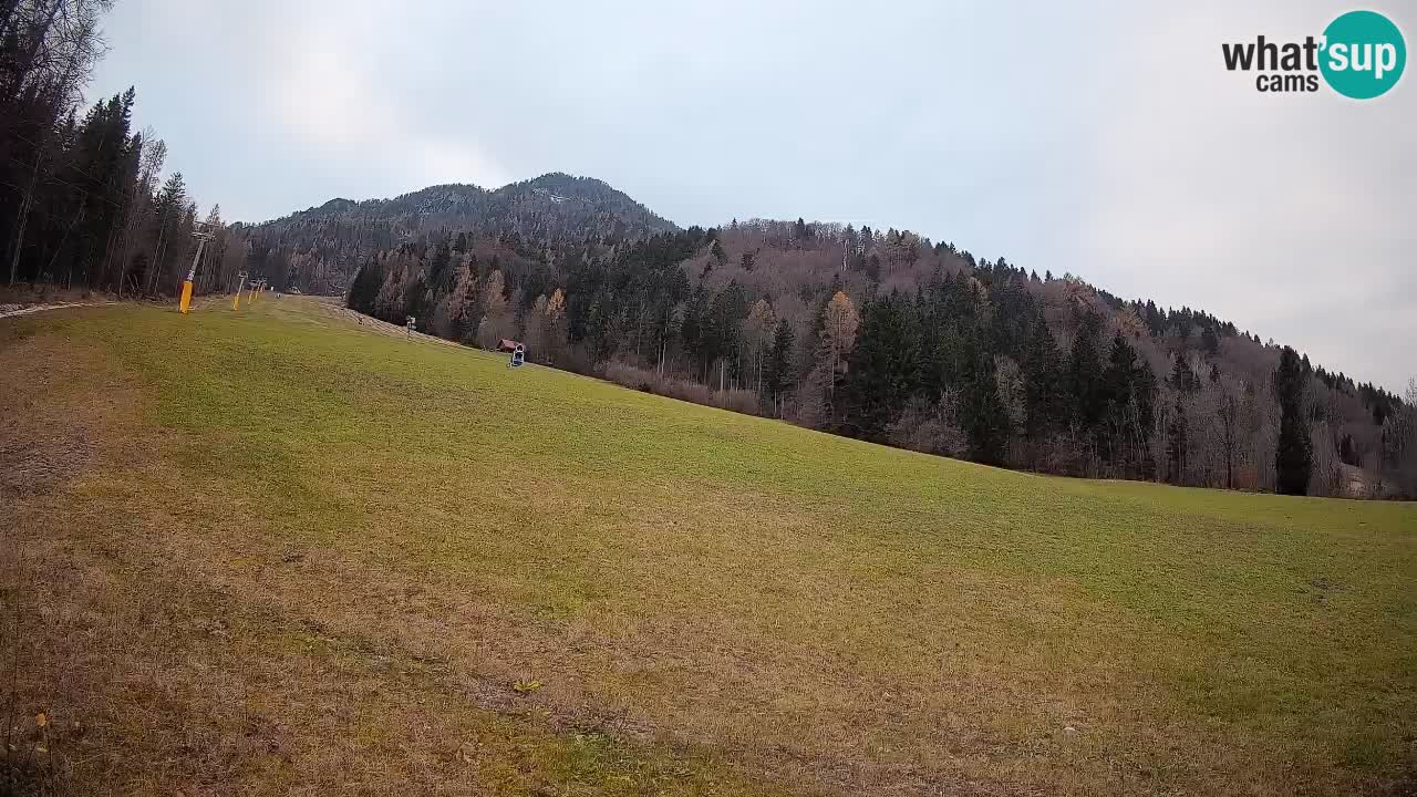 Esquí Kranjska Gora | Brsnina