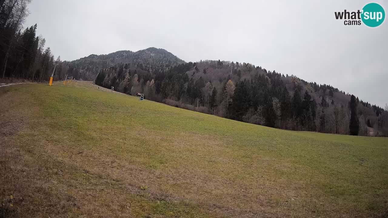 Kranjska Gora SKIJANJE | Brsnina