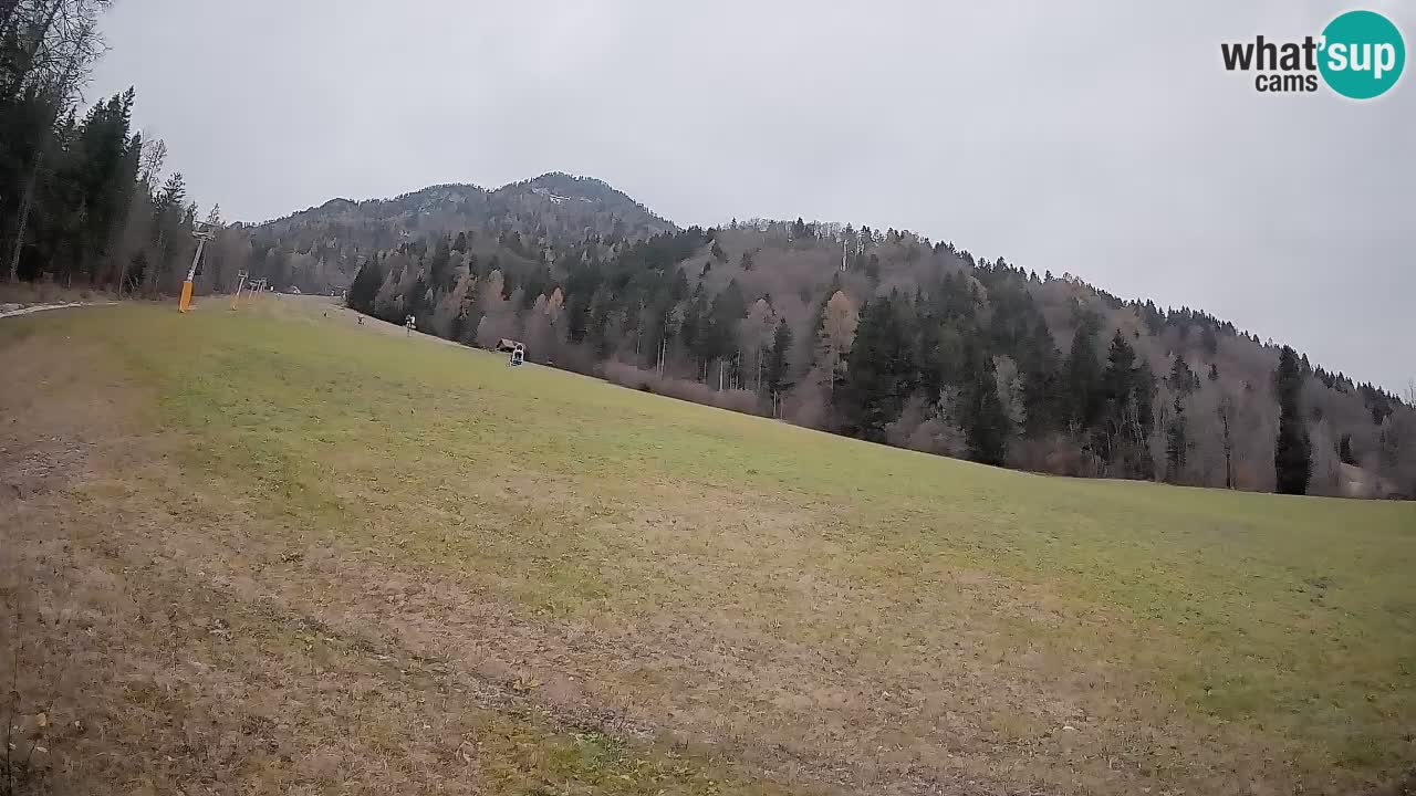 Kranjska Gora Station de ski | Brsnina