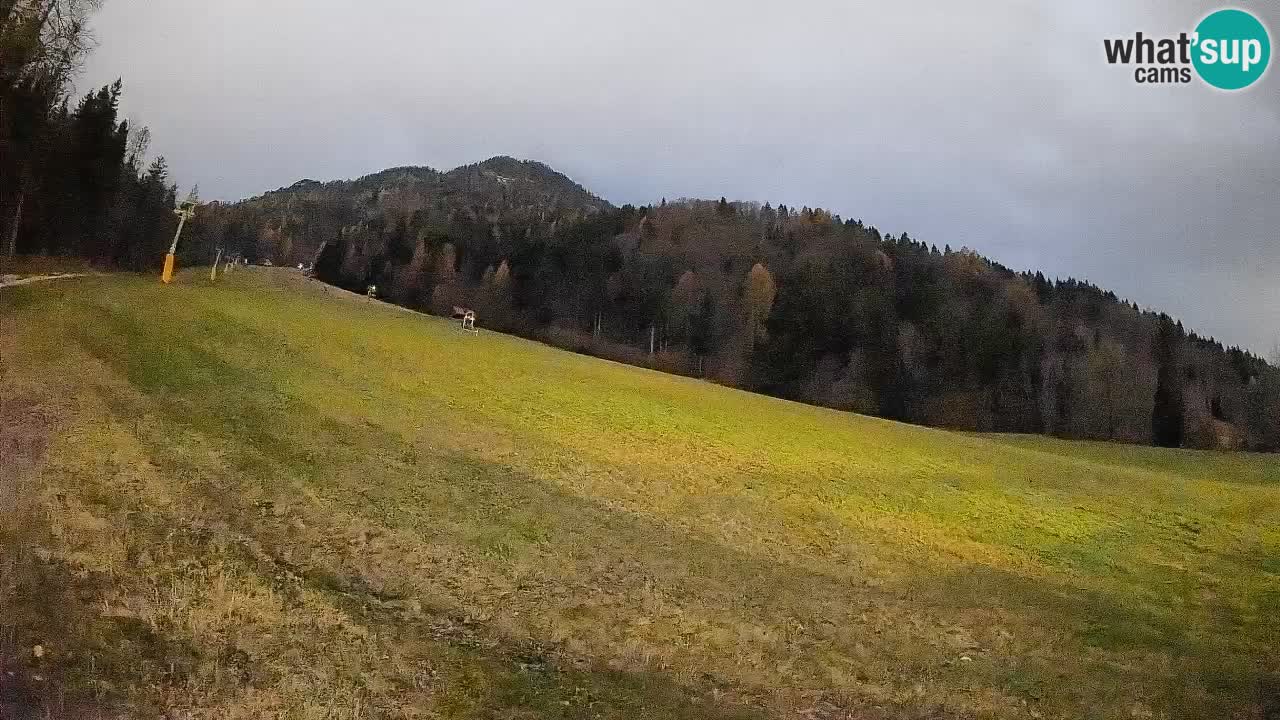 RTC Skigebiet Kranjska Gora | Brsnina