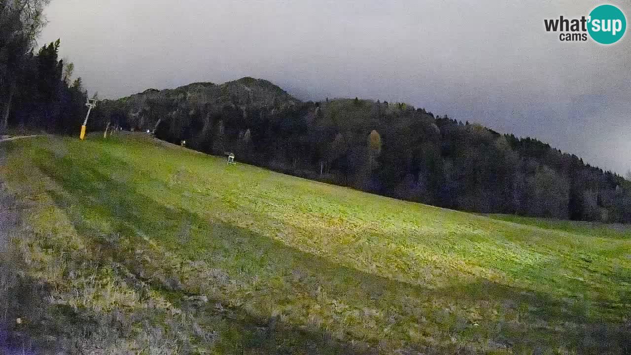 Kranjska Gora Station de ski | Brsnina