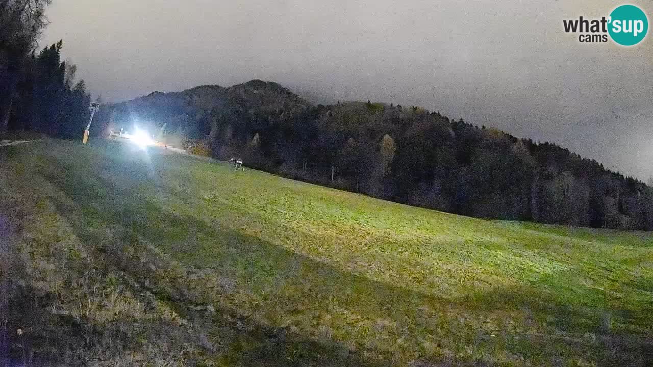 Ski Kranjska Gora | Brsnina