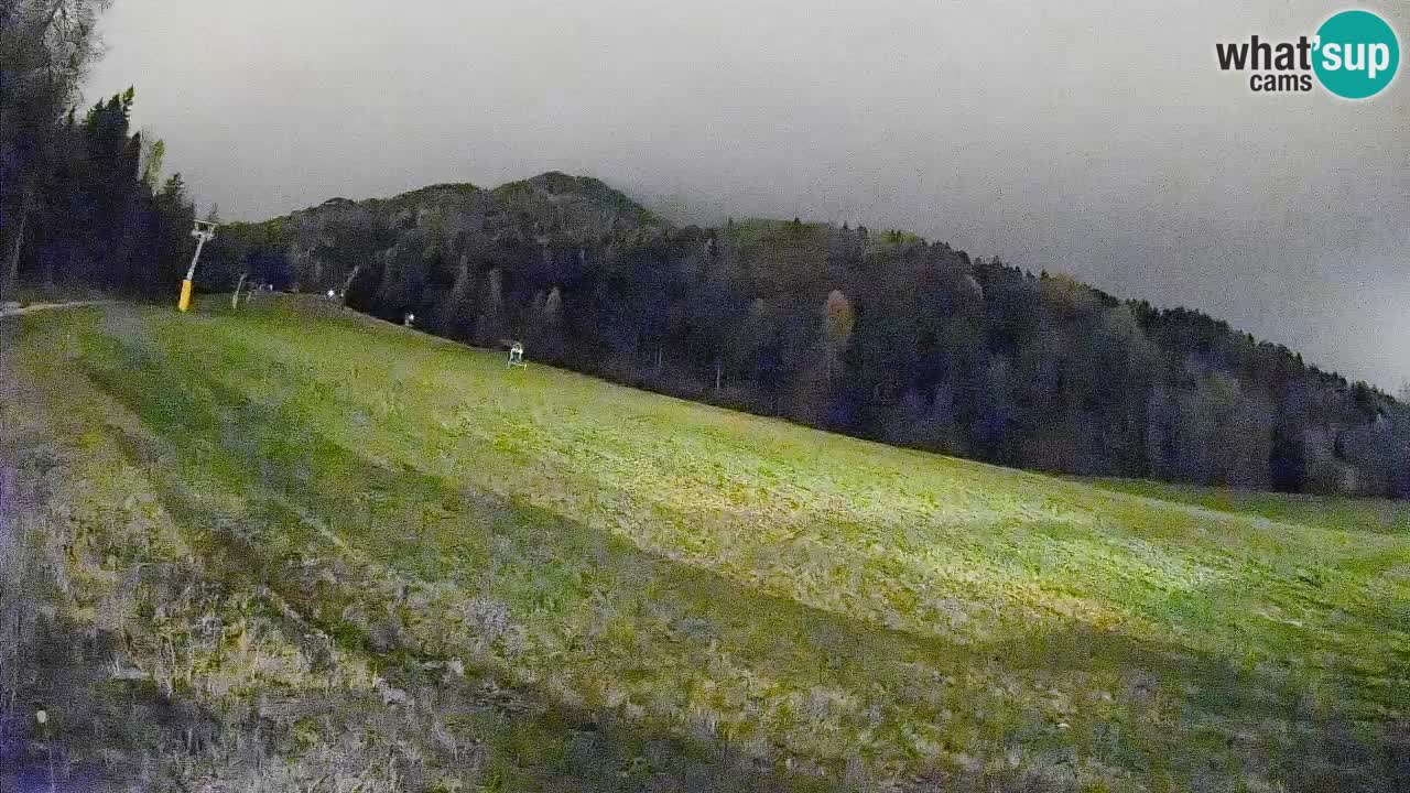 RTC Skigebiet Kranjska Gora | Brsnina