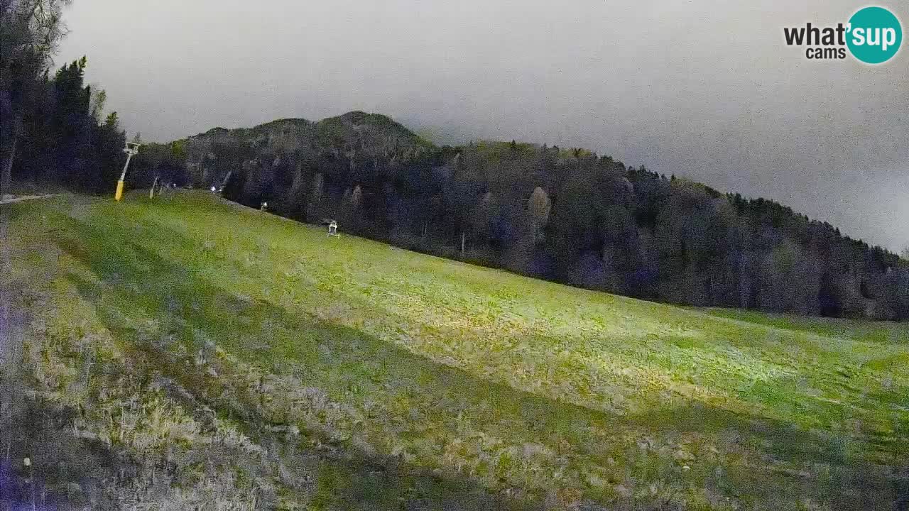 Kranjska Gora SKIJANJE | Brsnina