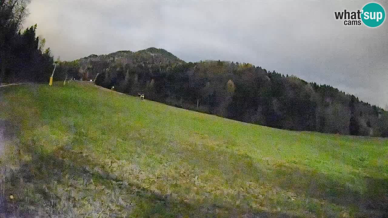 Kranjska Gora Station de ski | Brsnina