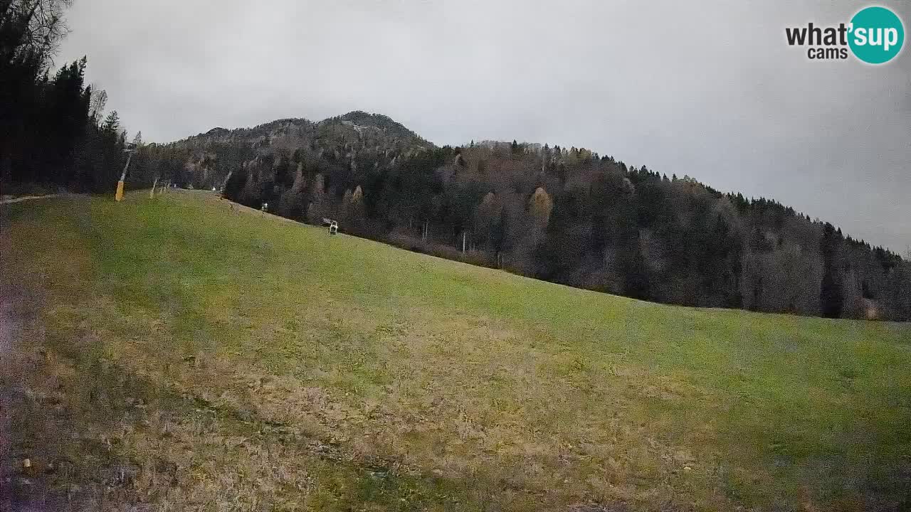 Comprensorio sciistico Kranjska Gora | Brsnina