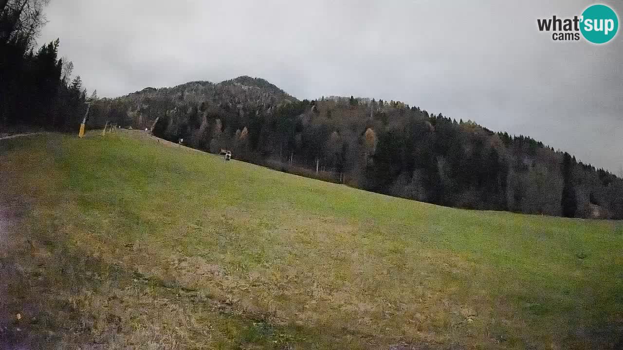 Esquí Kranjska Gora | Brsnina