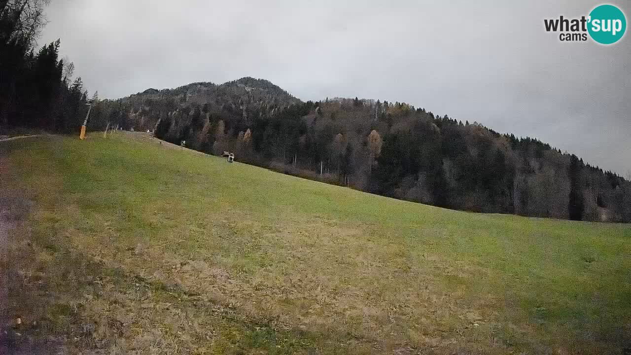 RTC Kranjska Gora | Brsnina