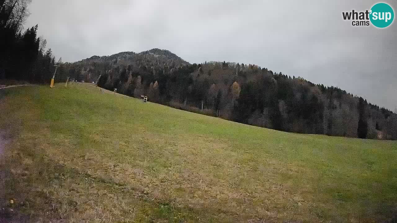 Esquí Kranjska Gora | Brsnina