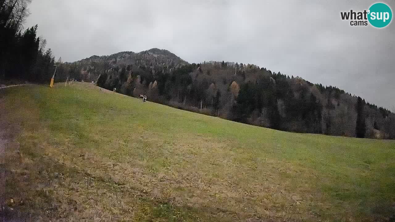 Kranjska Gora SKIJANJE | Brsnina