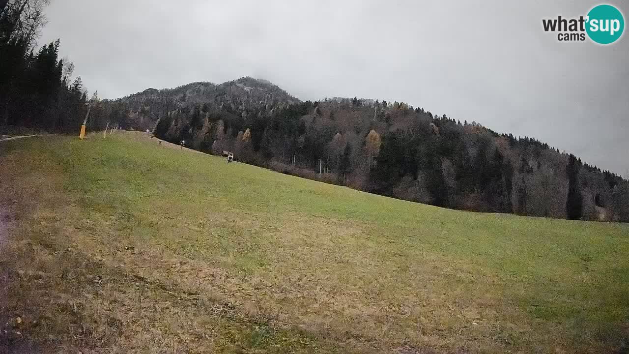 RTC Kranjska Gora | Brsnina
