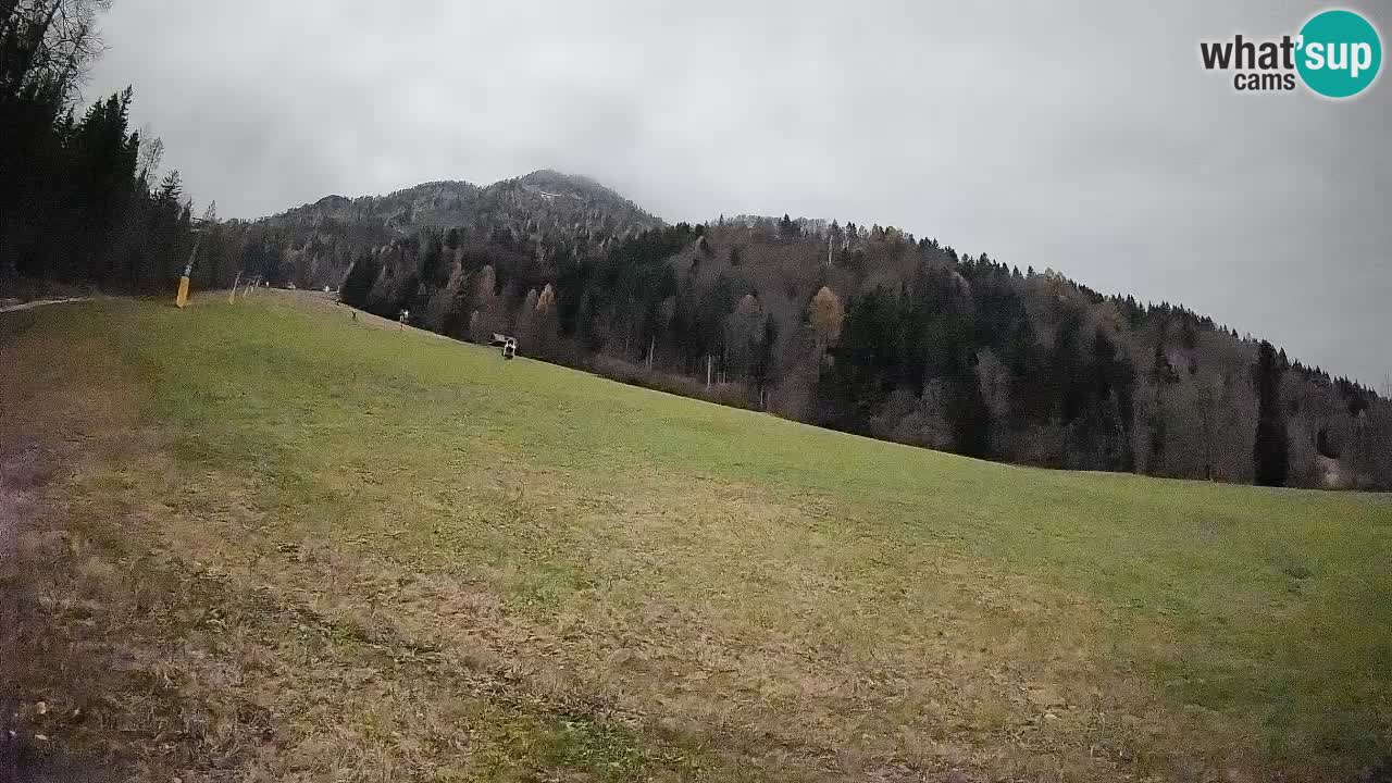 Kranjska Gora SKIJANJE | Brsnina