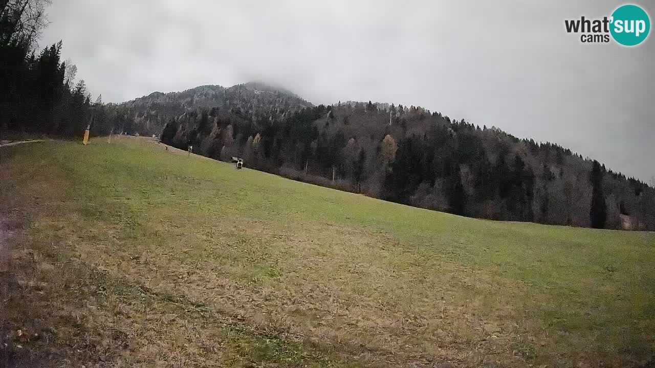 RTC Kranjska Gora | Brsnina