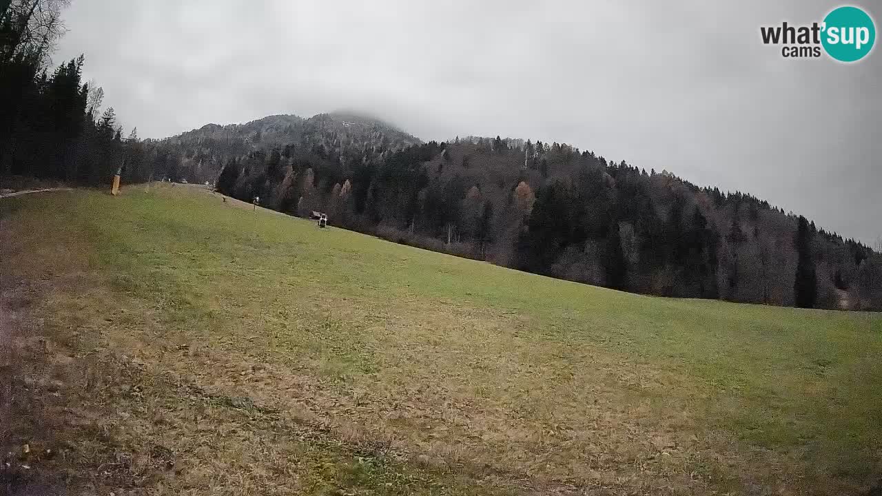 Esquí Kranjska Gora | Brsnina