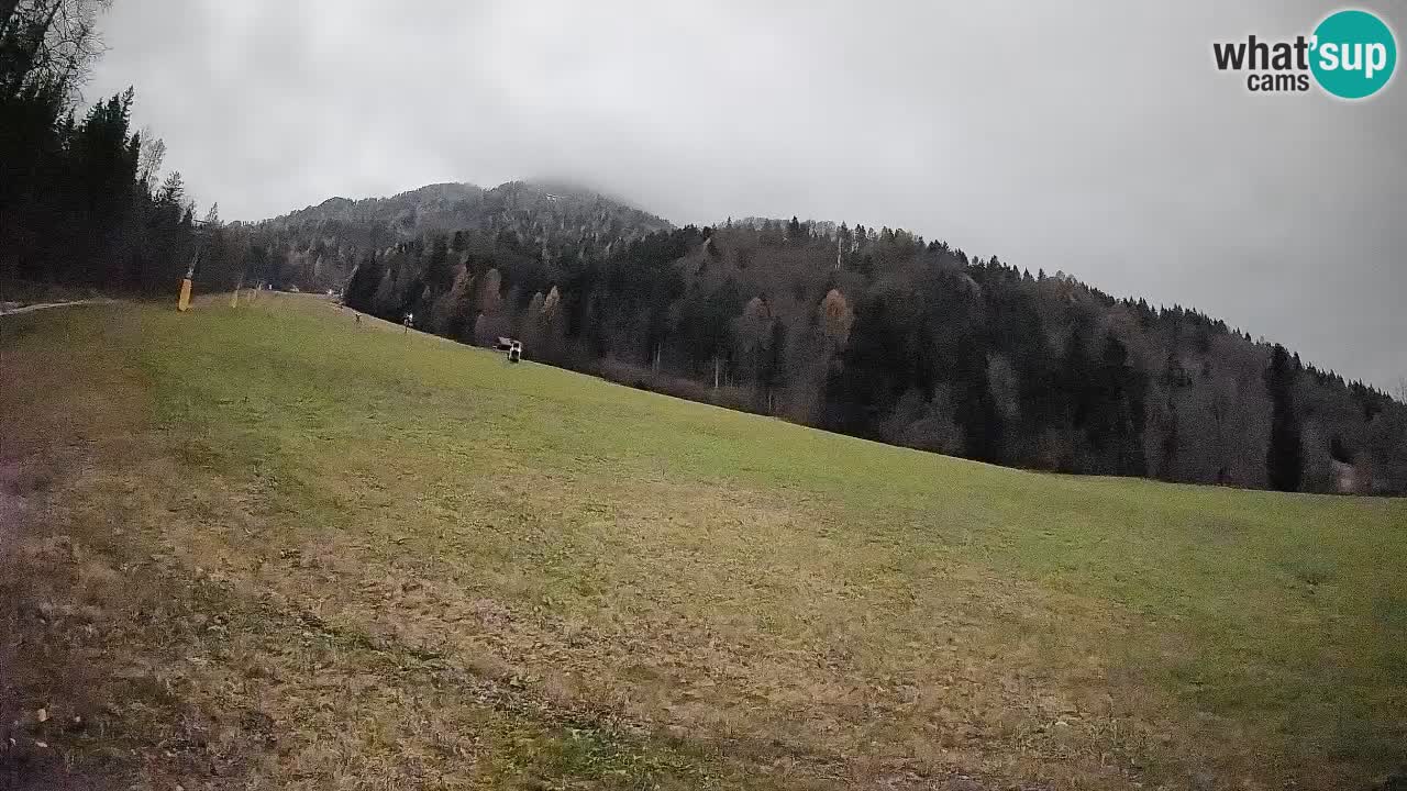 RTC Skigebiet Kranjska Gora | Brsnina