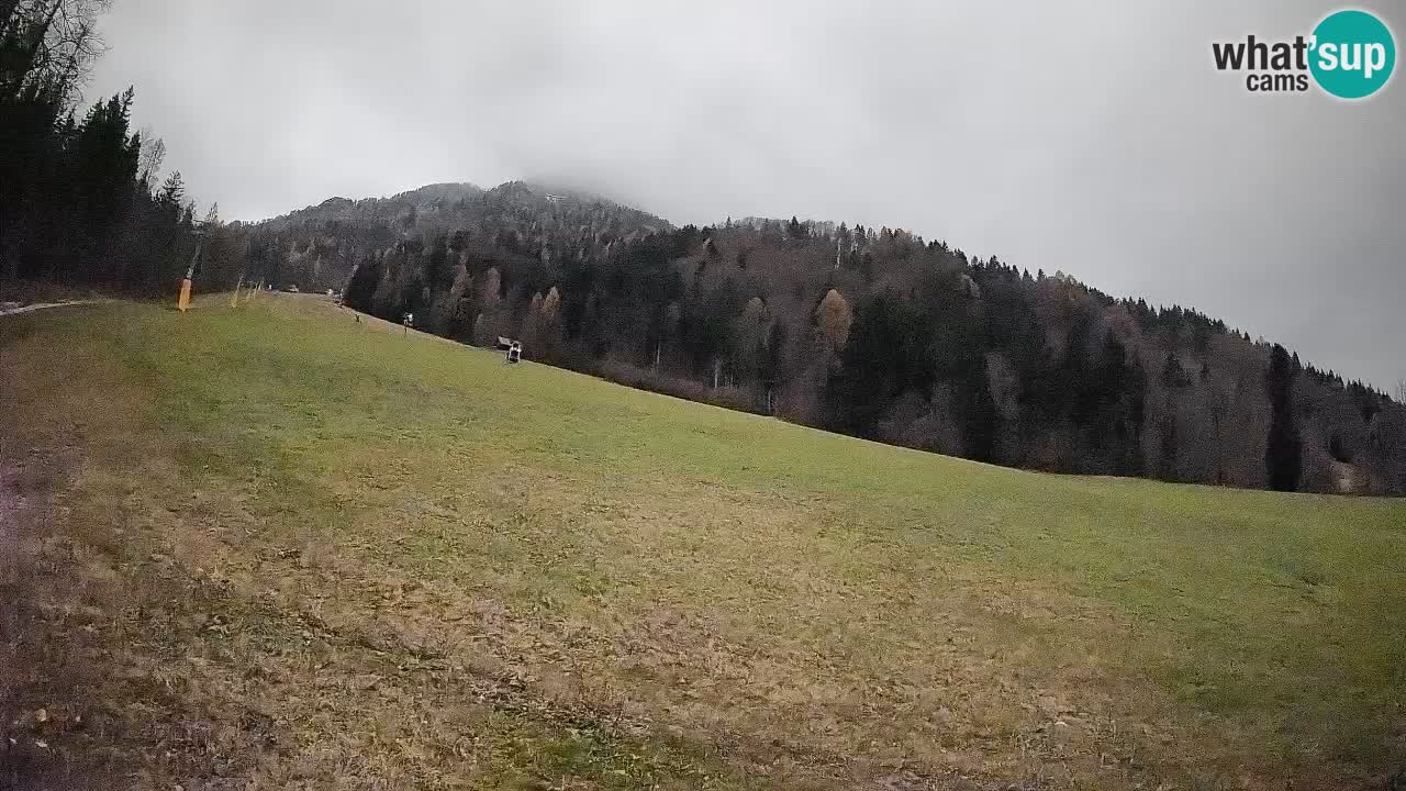RTC Kranjska Gora | Brsnina