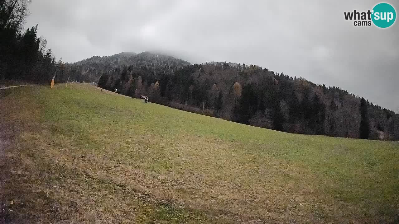 Esquí Kranjska Gora | Brsnina