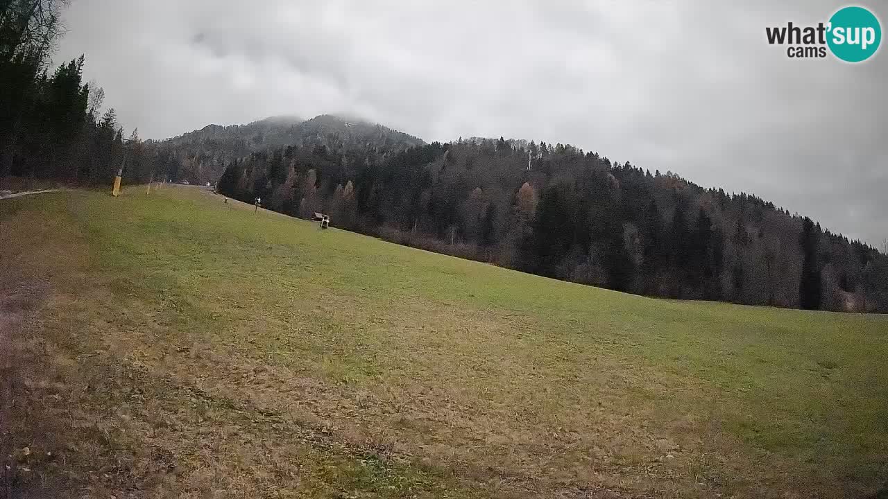 Ski Kranjska Gora | Brsnina