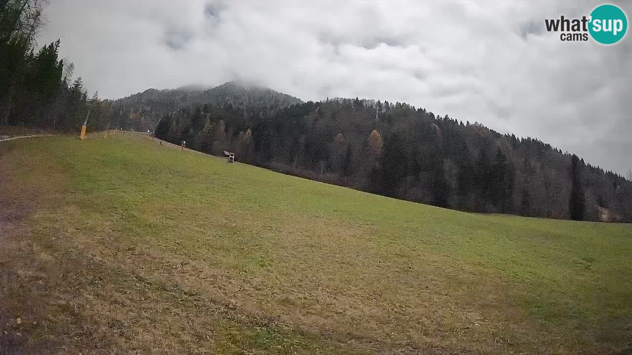 Ski Kranjska Gora | Brsnina
