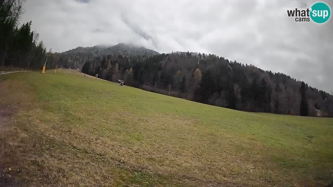 Esquí Kranjska Gora | Brsnina