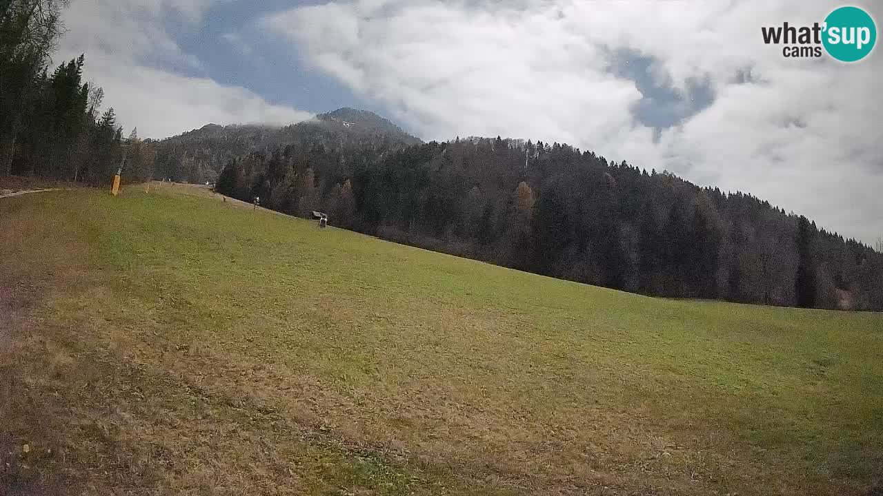Kranjska Gora SKIJANJE | Brsnina