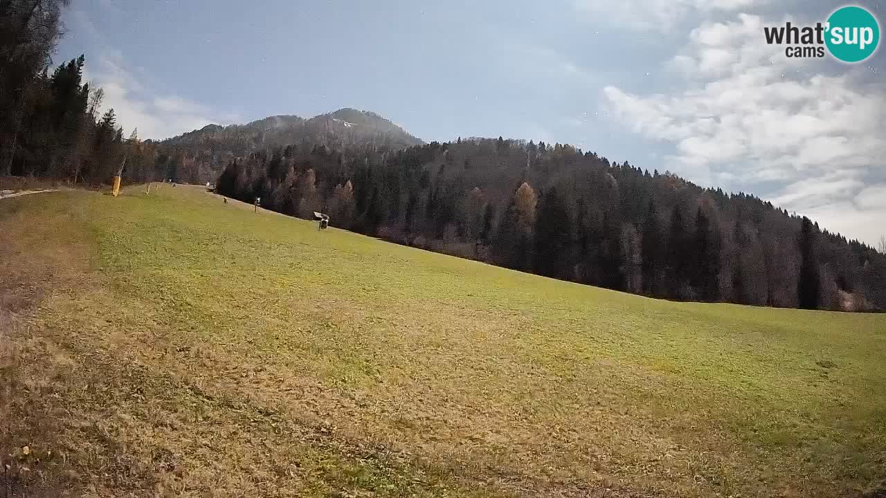 RTC Skigebiet Kranjska Gora | Brsnina
