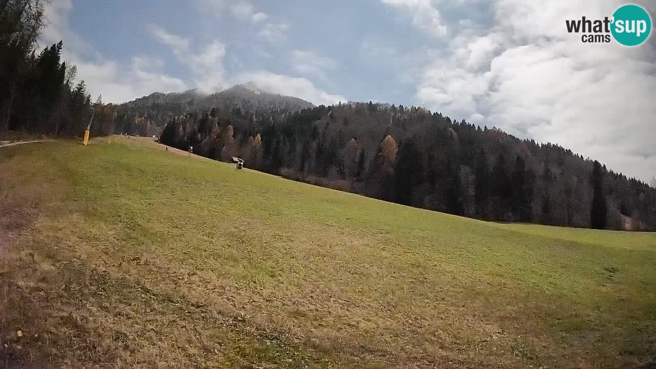 Kranjska Gora Station de ski | Brsnina