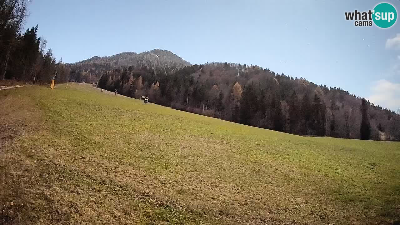 Esquí Kranjska Gora | Brsnina