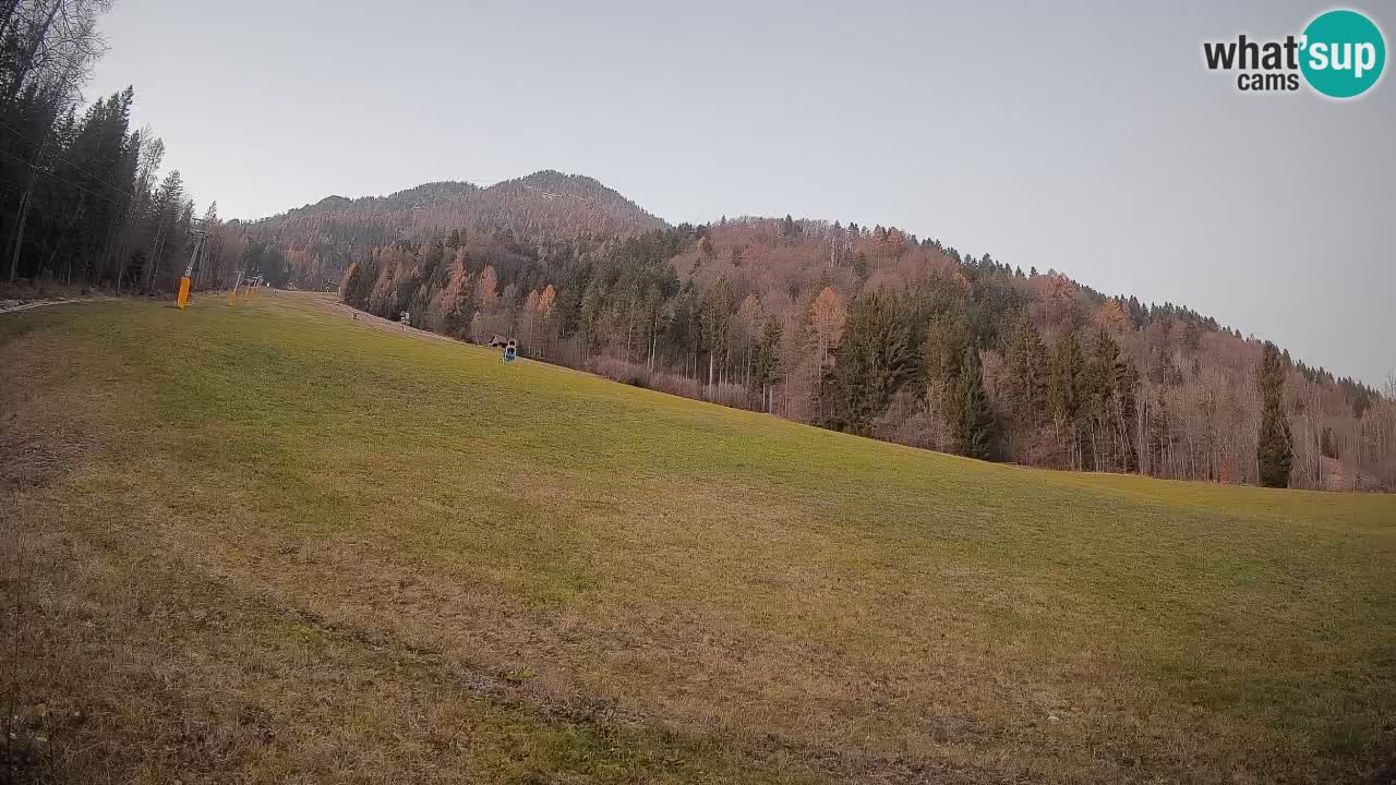 Esquí Kranjska Gora | Brsnina