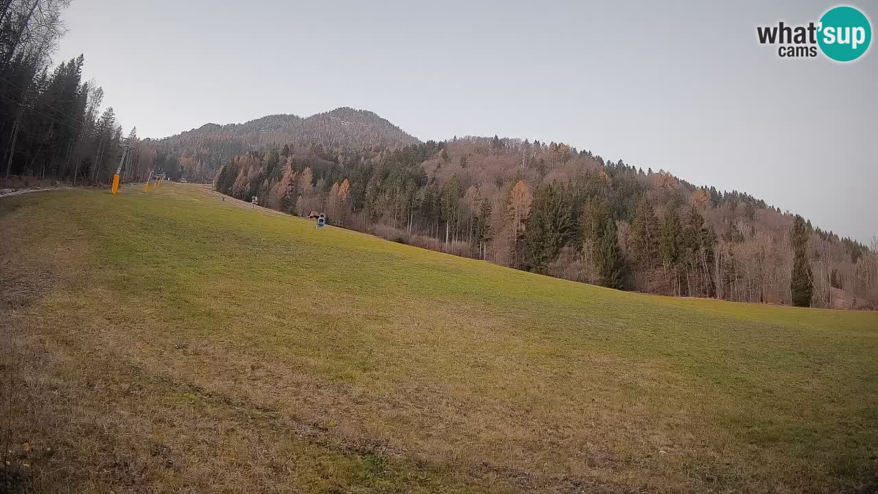 Ski Kranjska Gora | Brsnina