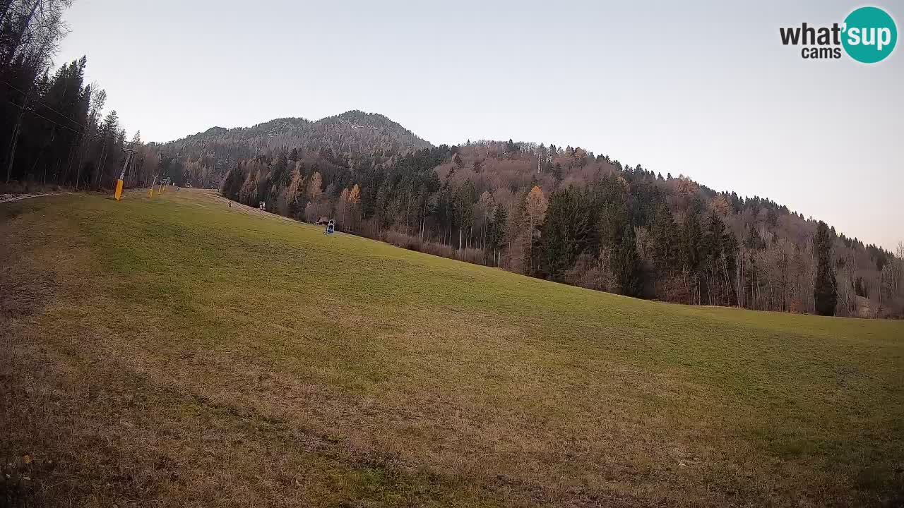 Esquí Kranjska Gora | Brsnina