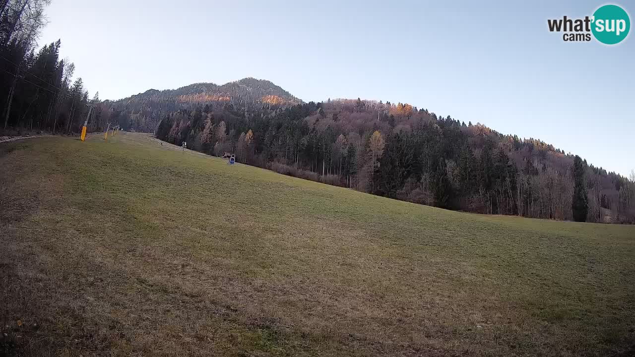 Esquí Kranjska Gora | Brsnina